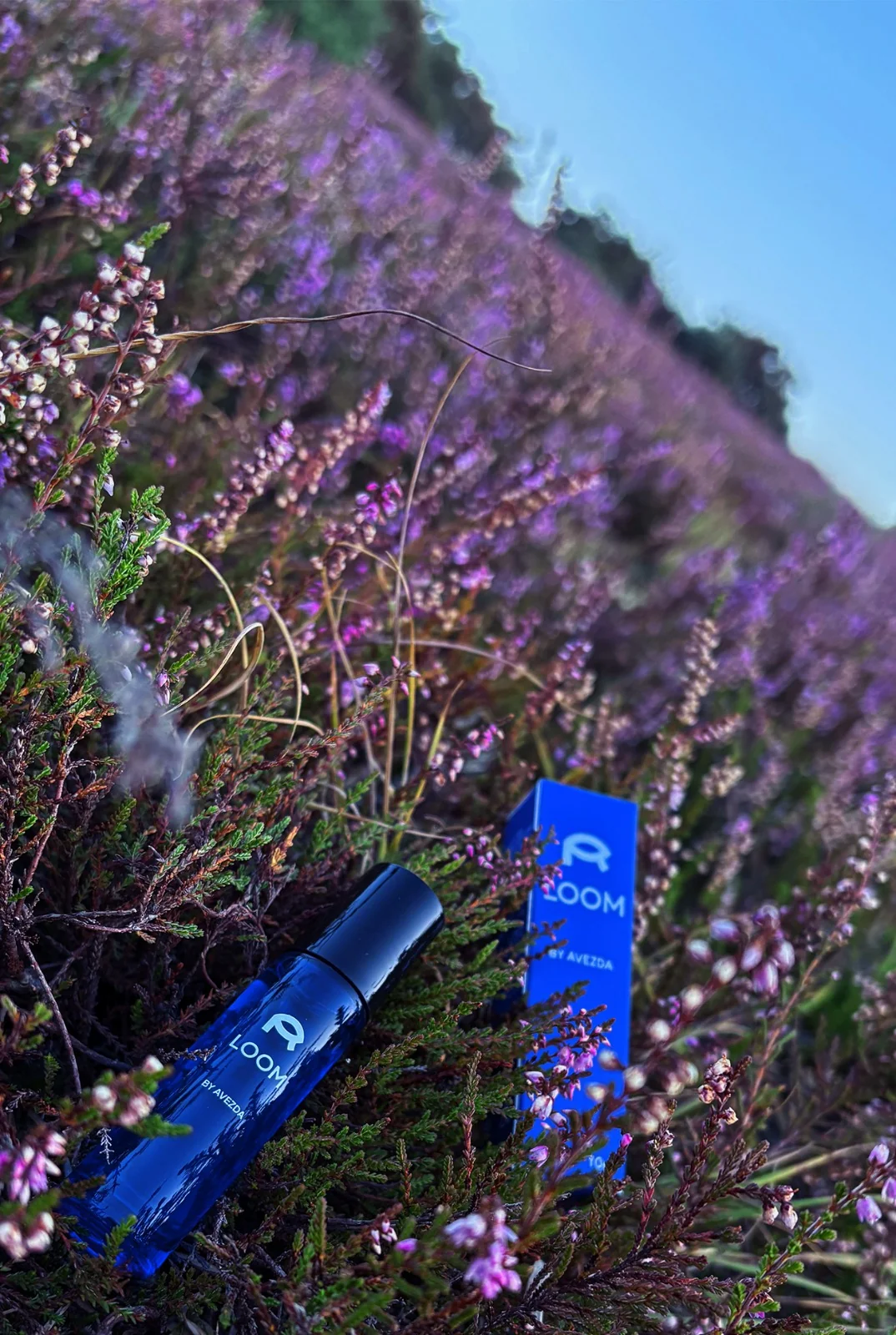 Loom Eye Serum bottle and packaging photographed among purple heather